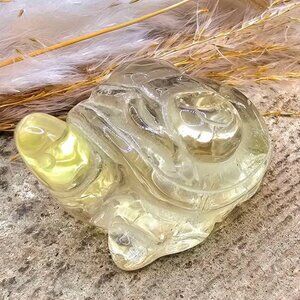 Nature Crystal Carved Butterfly On Turtle 1.8" Figure